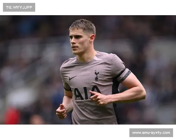 热刺3-0客胜埃弗顿,范德文双响建功 热刺3-0客胜埃弗顿,范德文双响建功